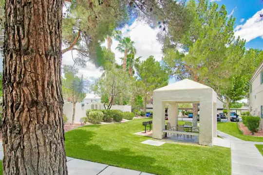 yard featuring a lawn