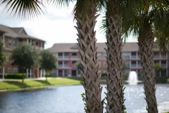 Trinity Palms Photo 1