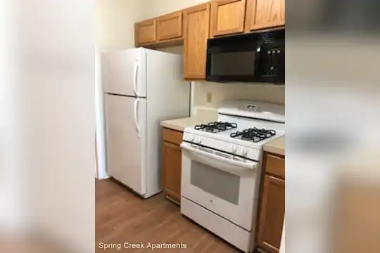Spring Creek Apartments Photo 2