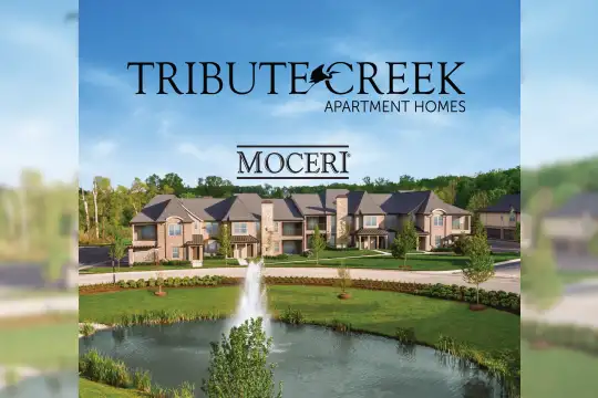 Tribute Creek Apartments Homes Photo 1