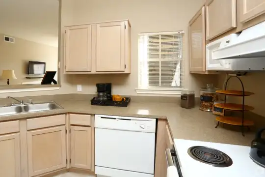 kitchen with natural light, range hood, dishwasher, TV, light flooring, and light brown cabinets