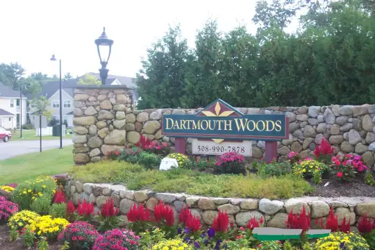 Dartmouth Woods Photo 2