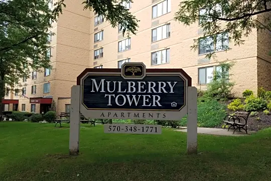 Mulberry Tower Photo 2