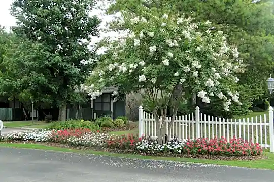 Glenview Photo 2