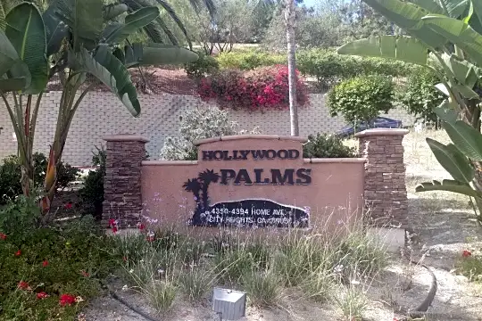 Hollywood Palms Photo 2