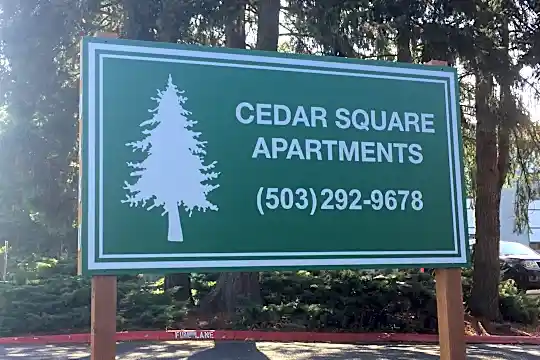 Cedar Square Photo 2