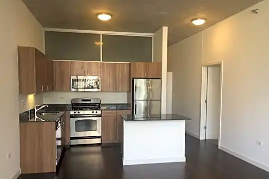 235 W Van Buren St #3919 Photo 2