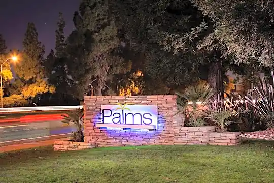 The Palms Photo 1