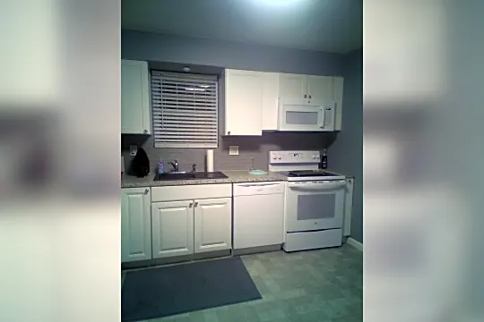apartment kitchen pic.jpg