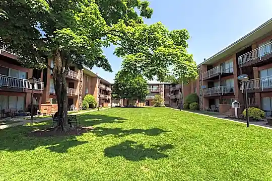 Bloom Apartments Photo 1