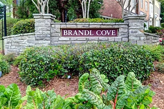 2899 Brandle Cove Ct #4 Photo 2