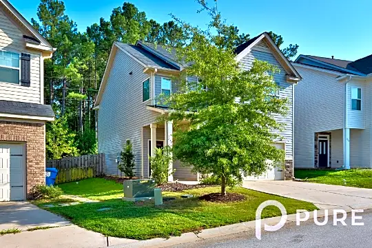 244 Bickley View Court, Chapin, SC 29036 Photo 2
