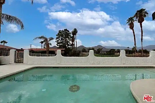 backyard day.jpg