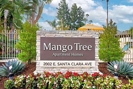Mango Tree Photo 2