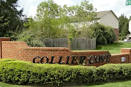 Collier Cove Apartments Photo 1