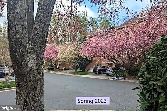 10847 Whiterim Dr Photo 2