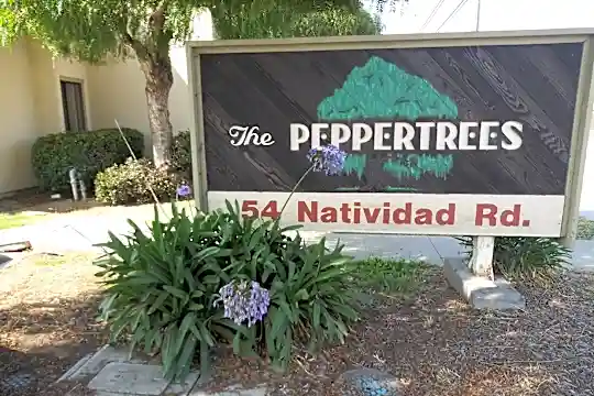 PEPPERTREES Photo 2