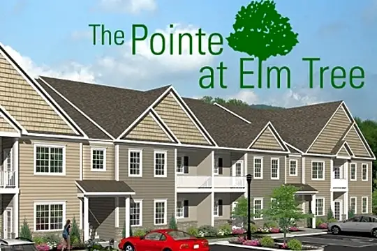 The Pointe at Elm Tree Photo 1