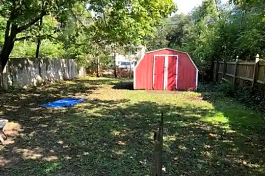 back yard.jpg