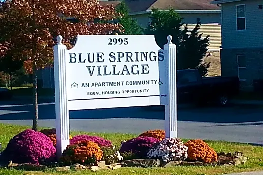 Blue Springs Photo 1