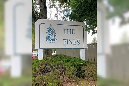 Pines Apartment Photo 2