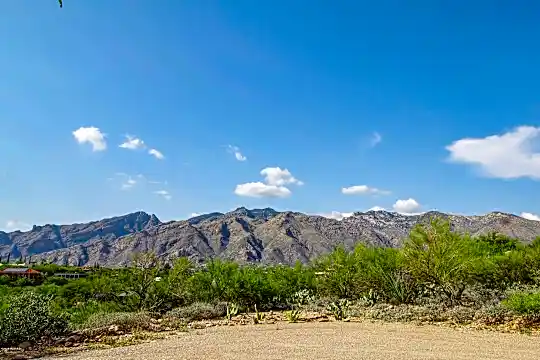 5350 E Camino Francisco Soza Photo 2