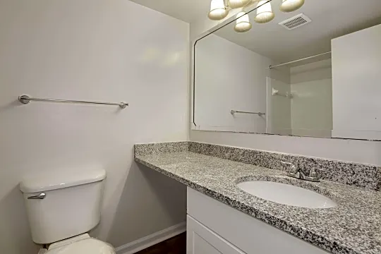 half bath featuring toilet, mirror, and vanity