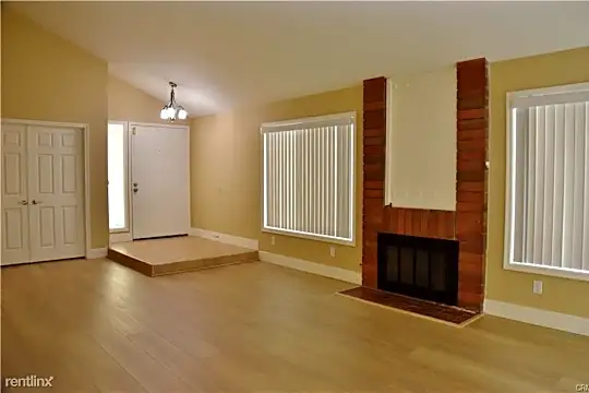 3 Silver Fir Photo 1
