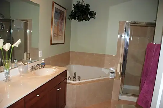 Townhouse Master Bath.jpg