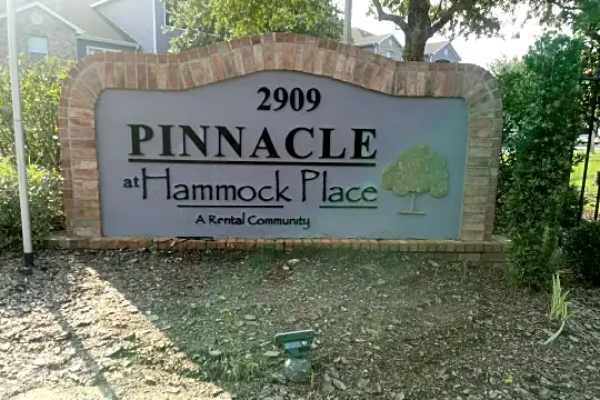 Pinnacle At Hammock Place Photo 2