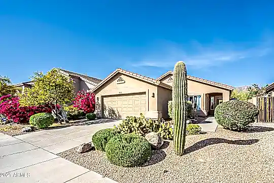 10272 E Mallow Cir Photo 2