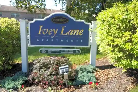 Ivey Lane Apartments Photo 2