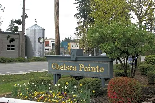 Chelsea Pointe Apartments Photo 1