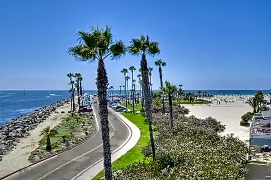 2595 Ocean Front Walk #7 Photo 2