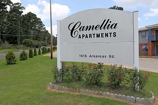 Camellia Apartments Photo 1