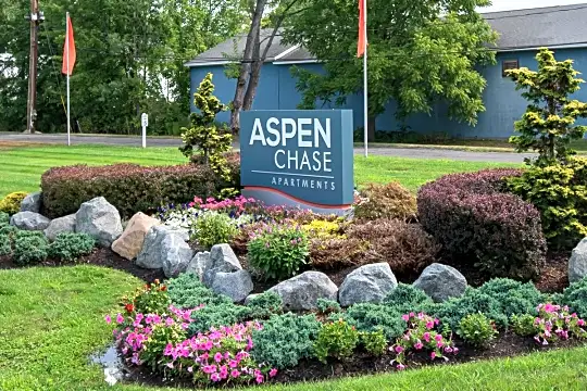 Aspen Chase Photo 1