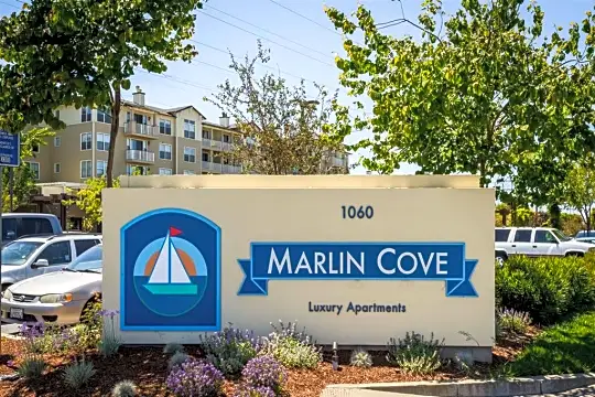 Marlin Cove Photo 1