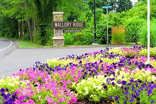Mallory Ridge Apartments Photo 2