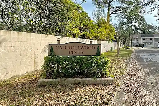 Hyde Park Tampa Condos For Rent