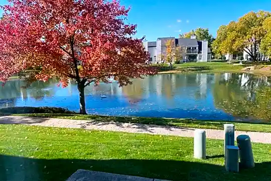 Pond View 2.jpg