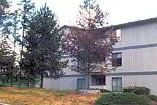 Springtree Photo 2
