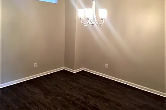 4335 Hanging Moss Drive Photo 2
