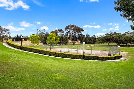 view of property's community with an expansive lawn