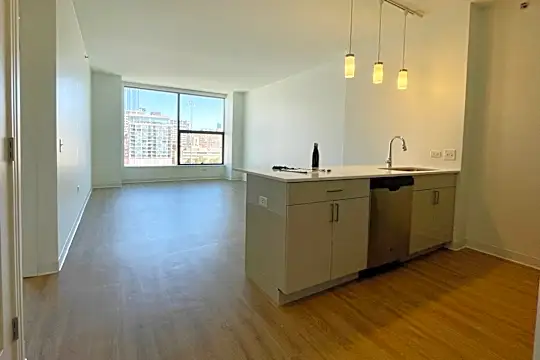 808 W Van Buren St #607 Photo 2