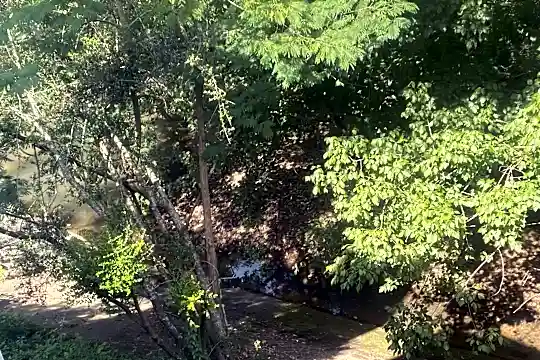 image13.jpeg