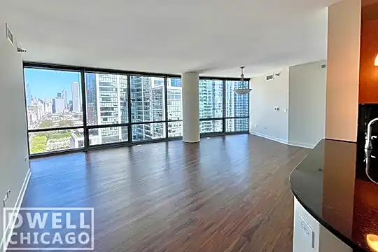1255 S Michigan Ave Photo 1