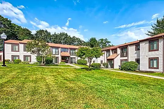 yard with an expansive lawn