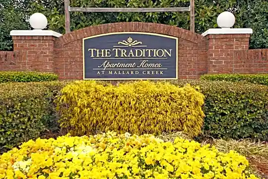 The Tradition Photo 2