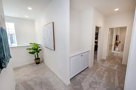 2615 Babaco Street Photo 1