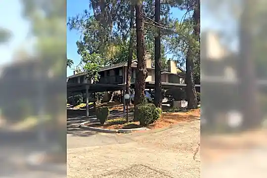 Diablo Pines Photo 1